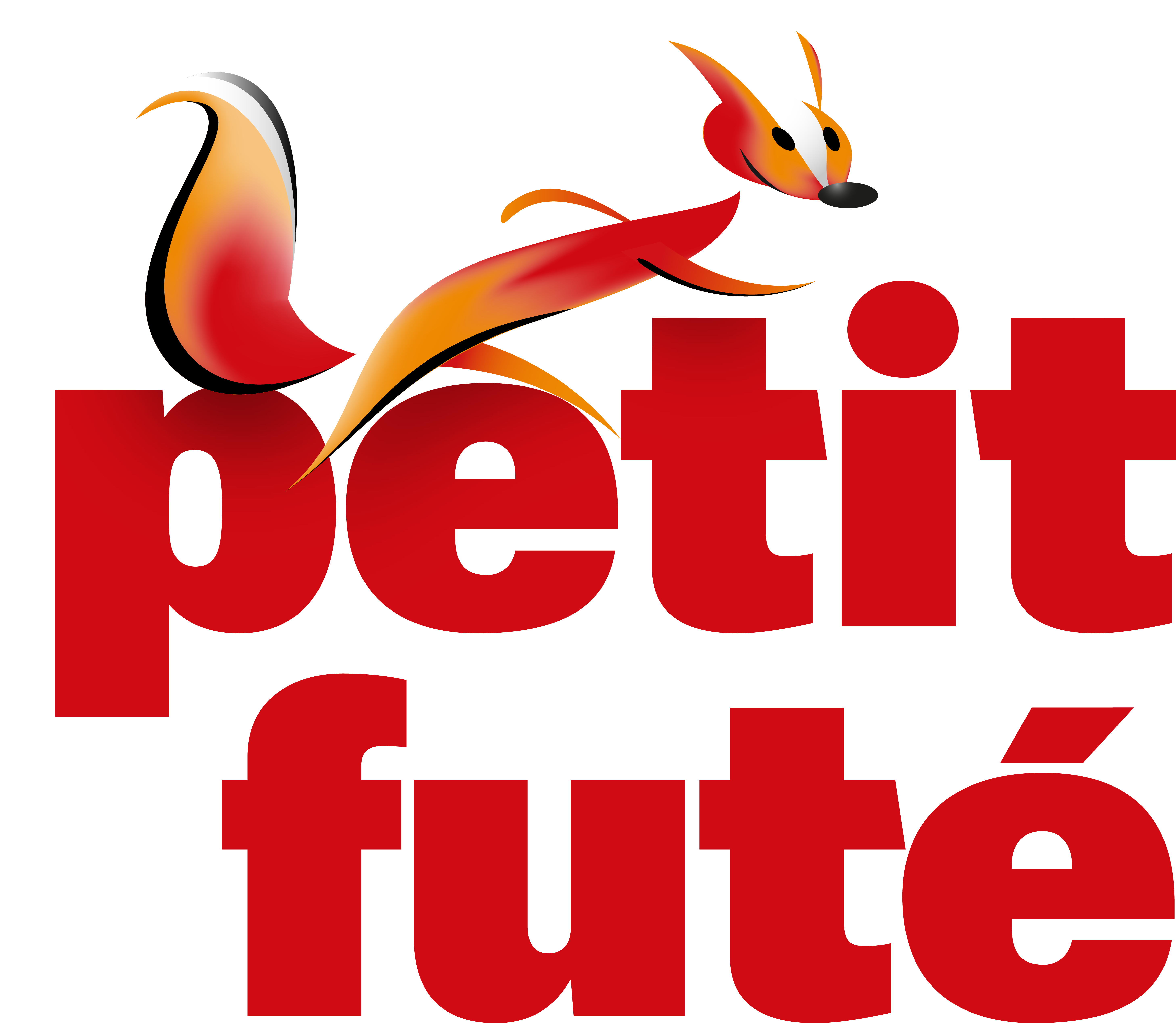 Logo Petit Futé