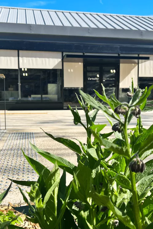 Les portes d'entrées du site