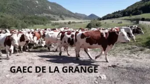 GAEC de la Grange